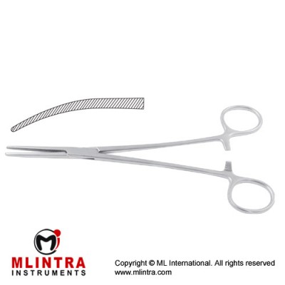 Bengolea Haemostatic Forceps Curved Stainless Steel, 25.5 cm - 10"